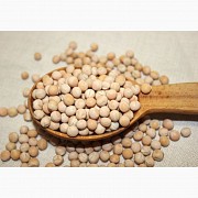 Горох (peas), Петропавловск
