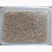 Продаем отруби пшеничные. Гранулированые, Затобольск + Костанайский район