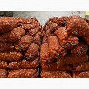 Семенной картофель, Костанай