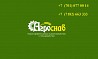 Жмых рапсовый протеин от 38%