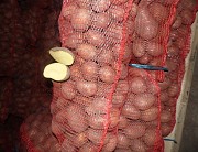 Картофель
