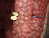 Картофель