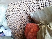 Картофель продам