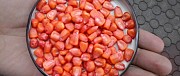 Семена люцерны, суданской травы, клевера, доника, моркови и лука