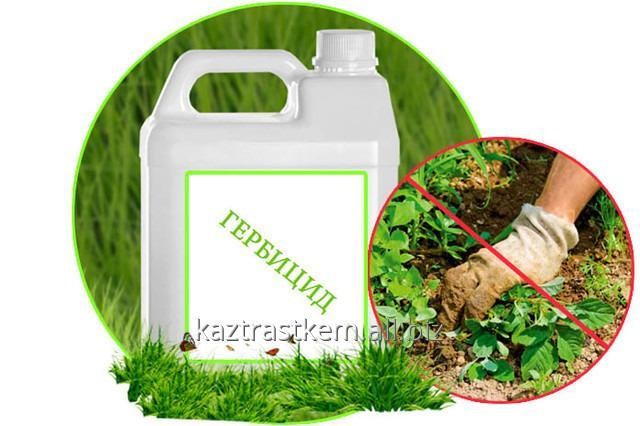 Майстер Пауэр Гербицид Алматы - изображение 1