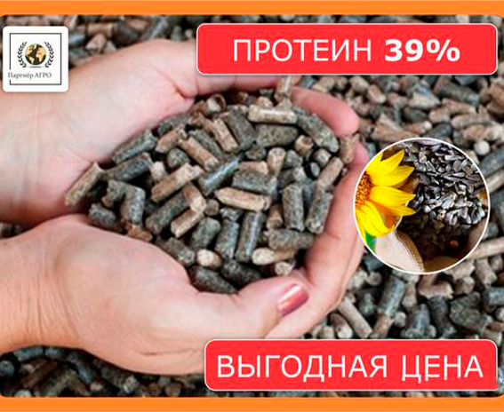 Шрот подсолнечный Астана - изображение 1