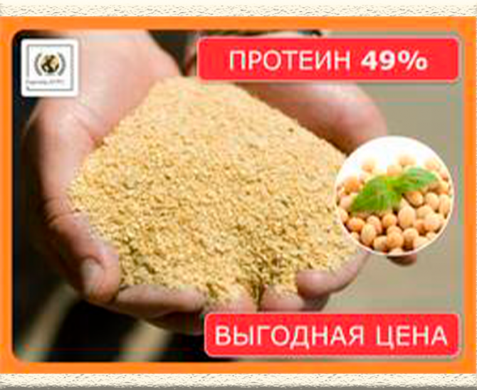шрот соевый Уральск - изображение 1