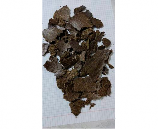 Жмых льняной Петропавловск - изображение 1