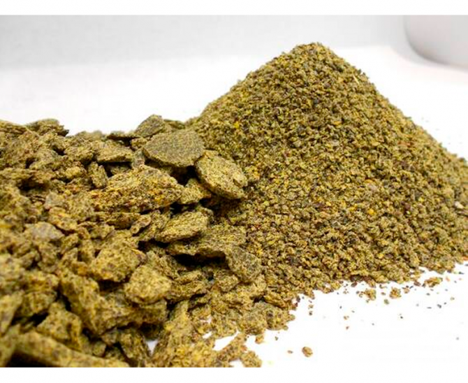 Шрот рапсовый Петропавловск - изображение 1