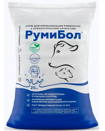 Руми Бол Костанай - изображение 1