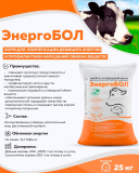 ЭнергоБол