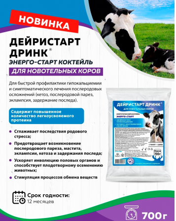 Дейристарт Дринк Костанай - изображение 1