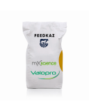 VALOPRO