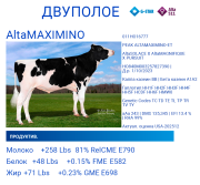 Спермодозы голштин двуполое