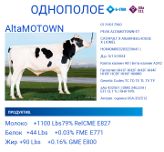 Спермодозы голштин однополое