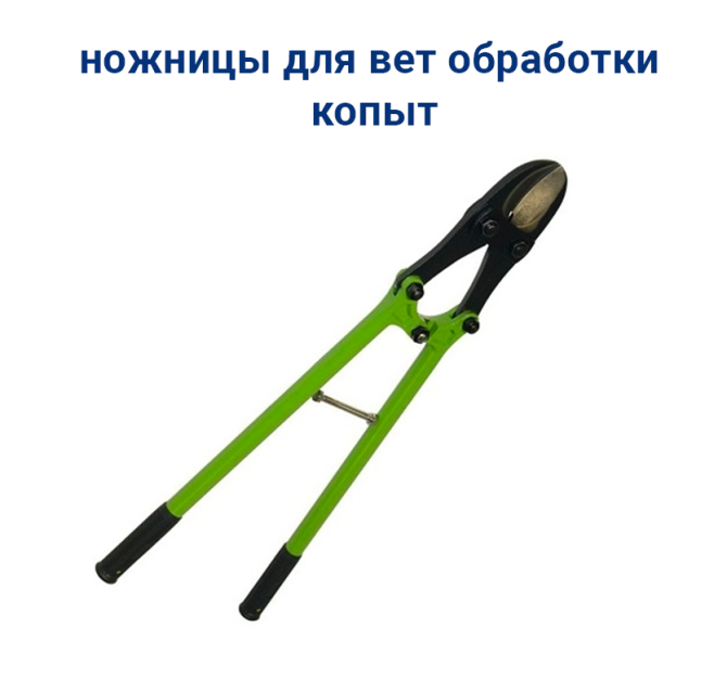 Ножницы для копыт FELCO Астана - изображение 1