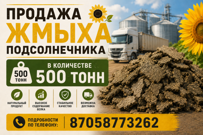 Жмых подсолнечника Петропавловск - изображение 1