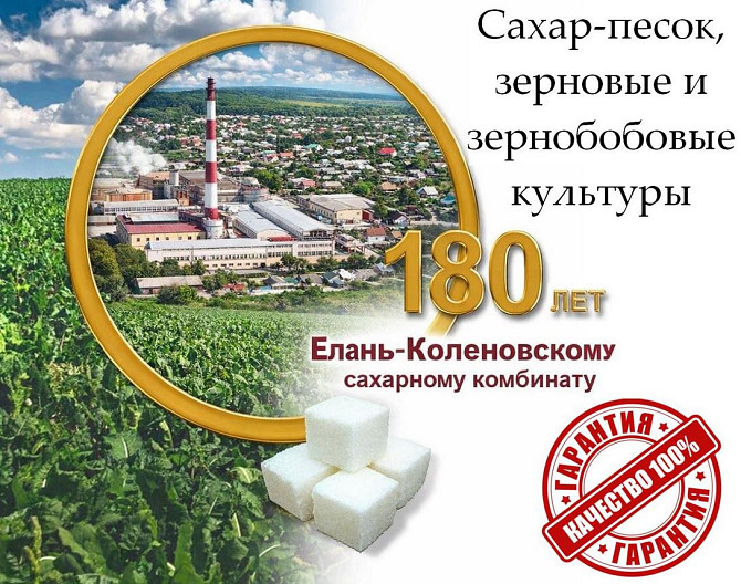 Сахар-песок, зерновые и зернобобовые культуры от Елань-Коленовский СЗ Алматы - изображение 1