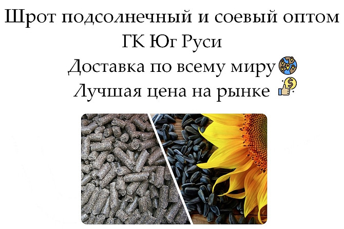 Шрот подсолнечный и соевый оптом от производителя ГК Юг Руси Астана - изображение 1