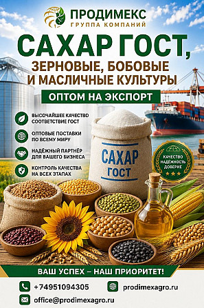 Сахар ГОСТ, зерновые, бобовые и масличные культуры оптом Астана - изображение 1