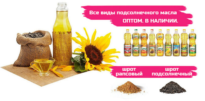 АСТОН - Оптовые продажи подсолнечного масла от завода. Экспорт Астана - изображение 1
